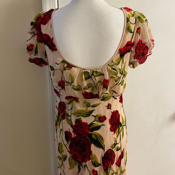 Rare London Rose Devore burnout velvet maxi dress coquette Sz 8 NWT - Picture 12 of 16